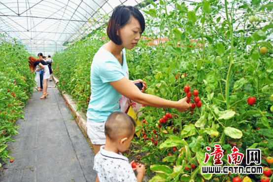 暑期亲子一日游好去处:潼南农业旅游度假区