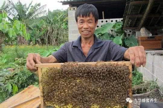 重庆市武隆区依靠旅游业 发展养蜂一箱蜜蜂年
