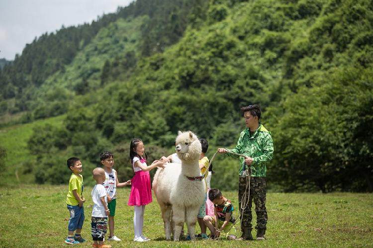 《西虹市首富》带火取景地,明星同款旅行路线