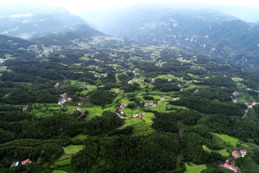 笃坪乡专题报道沃土藏金生态笃坪