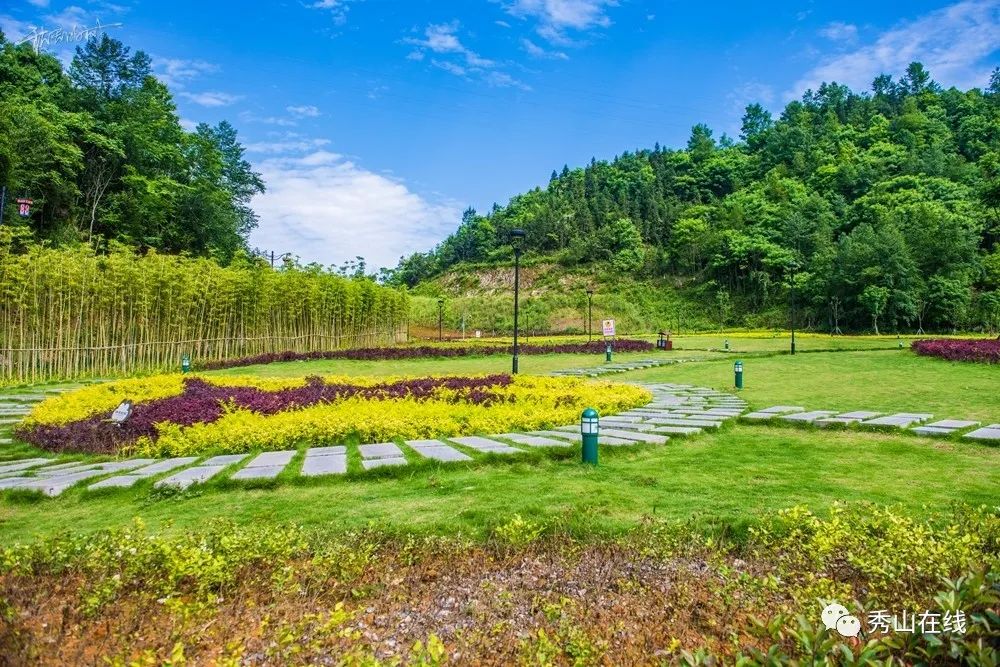 在鳳凰山後山藏著一處絕美景點,秀山好多人都還不曉得!