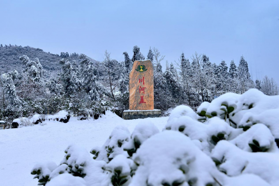 踏雪寻美 