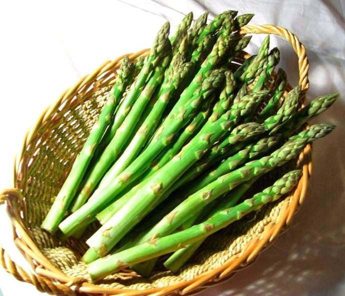 芦笋别称石刁柏,荻笋,露笋等,为天门冬科天门冬属多年生草本植物