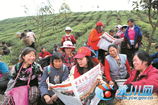 多部门联合开展党员活动日植树活动