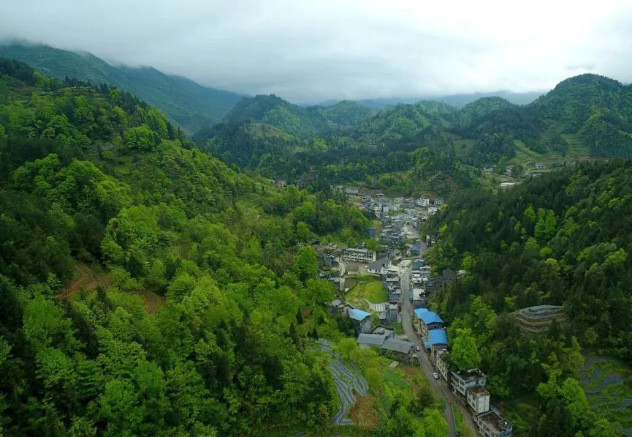 酉阳县花田乡图片