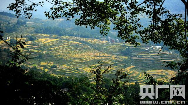 重庆酉阳县花田乡何家岩村成为全国一村一品示范村镇