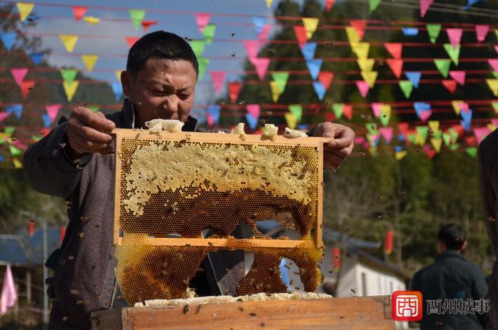 天馆乡魏市村举办 酉阳蜂蜜 品牌推广文化活动 上游新闻 汇聚向上的力量