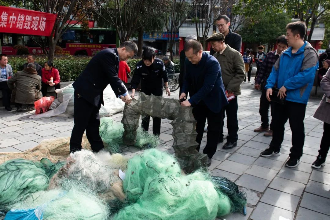 酉阳特大案件图片