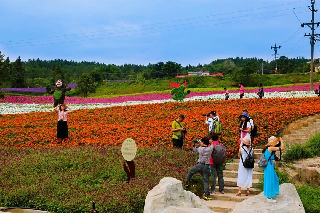 云阳凤凰花果山景区图片