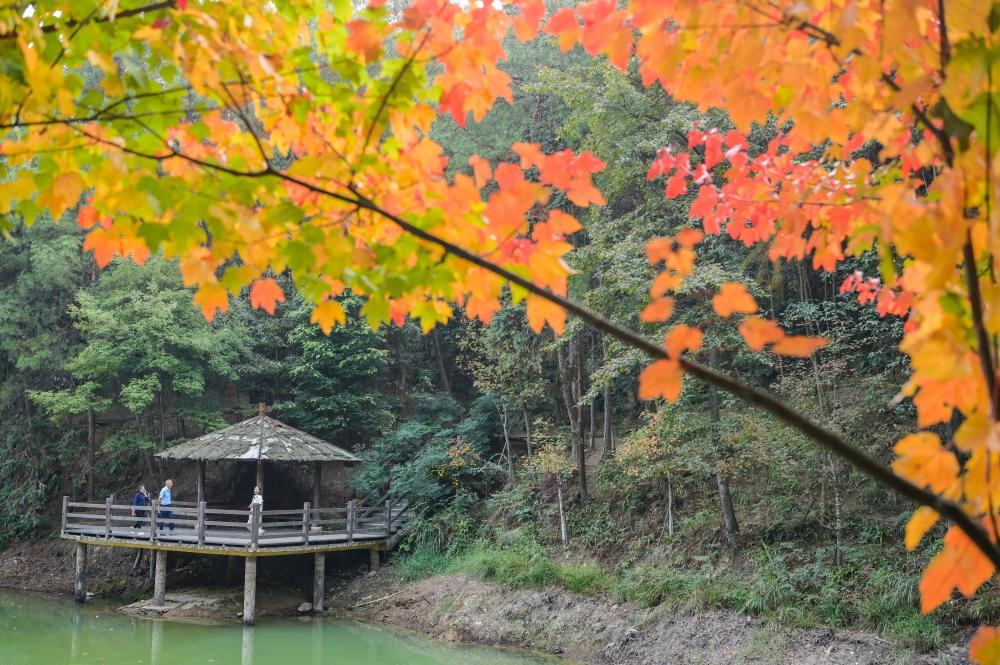 层林尽染九凤瑶池风景美如画