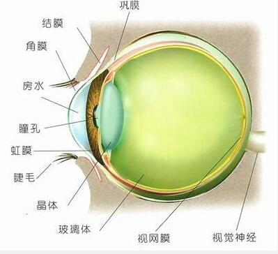 QQ截图20181003170313.jpg