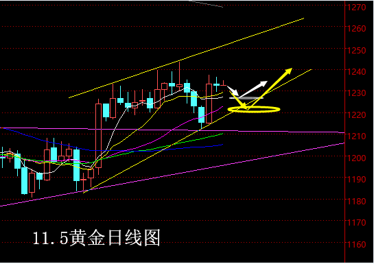 11.5上午黄金.png