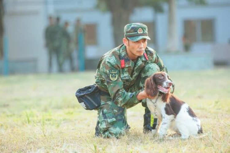 重回军营杨烁成了训犬标兵硬汉的弱点竟是400度散光 上游新闻 汇聚向上的力量