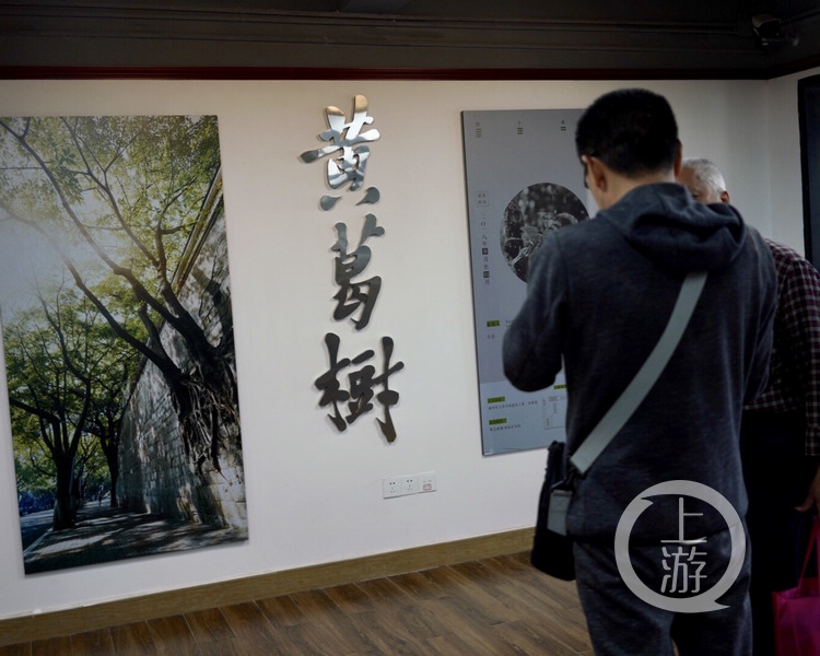 28日上午，在曾家岩书院揭幕“我们的黄葛树”主题影像展现场。.jpg