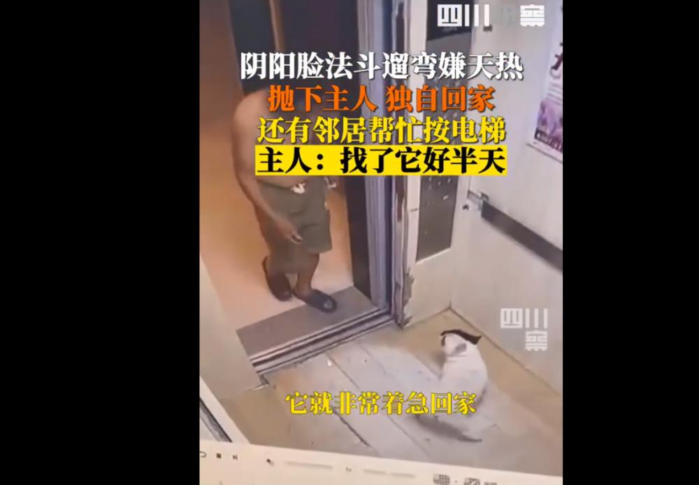 北方气温波动回升_高温叠加少雨 北方2地出现特旱_九点平均波动图