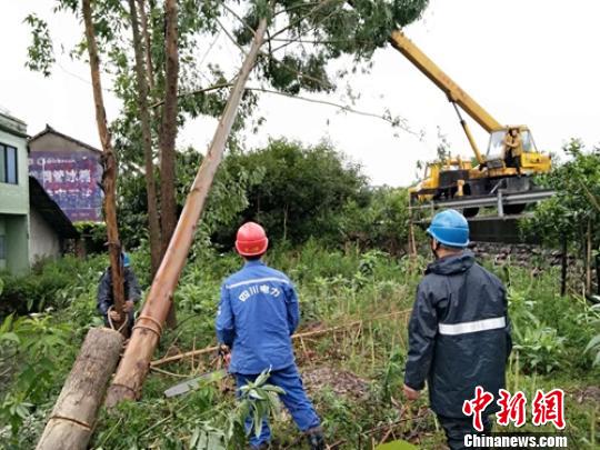 抢险人员正全力抢修受损的电力设施。　文惊涛 摄