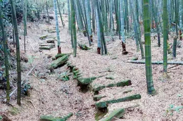 永川发现“神秘”古盐栈道！有300多年历史