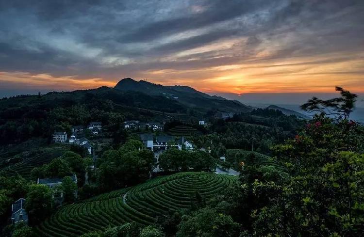 永川发现“神秘”古盐栈道！有300多年历史