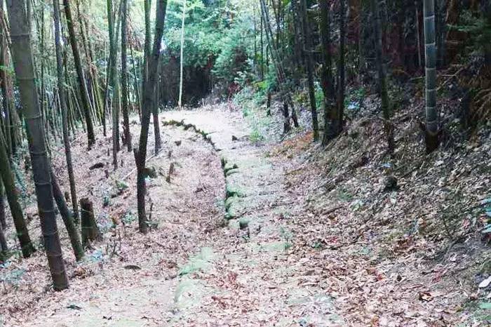 永川发现“神秘”古盐栈道！有300多年历史