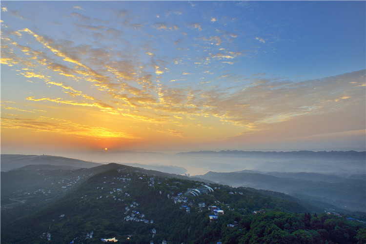 南山植物园.jpg