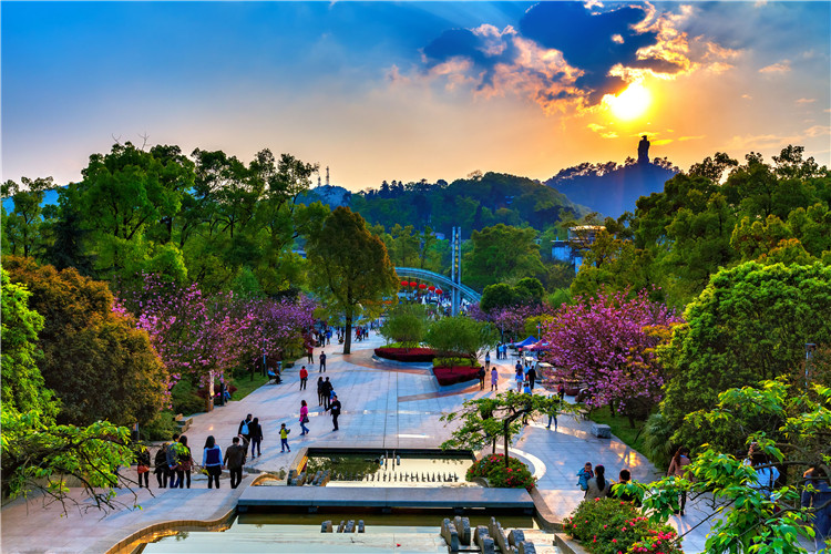 南山植物园揽重庆最美公园生态之冠
