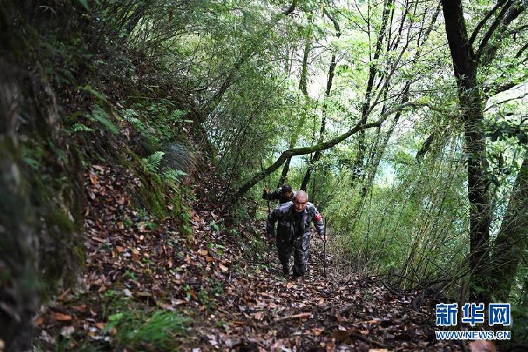 重庆最高峰护林员巡山26年半年后将退休