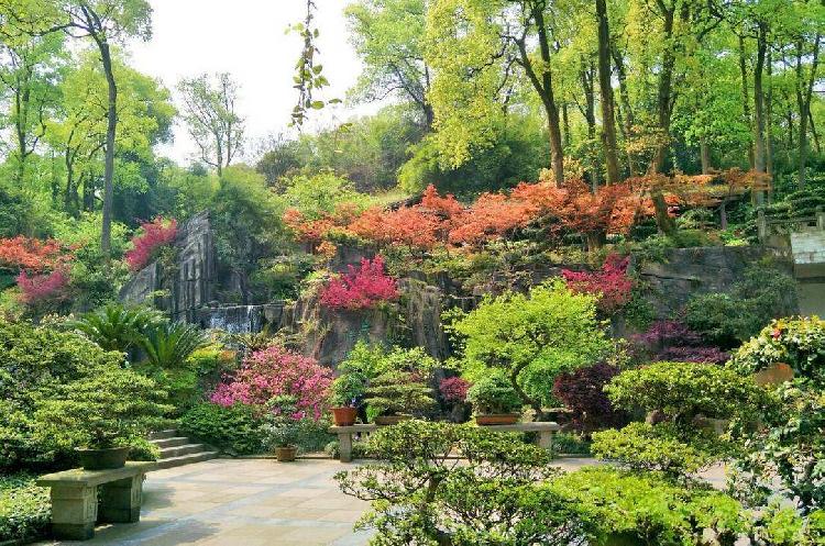 南岸·重慶南山植物園.jpg