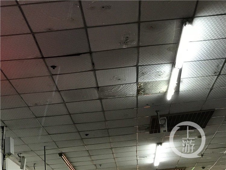 0c807c853c3df99e0c51e68234974c0d.jpg downLoad-20190214163653_副本.jpg