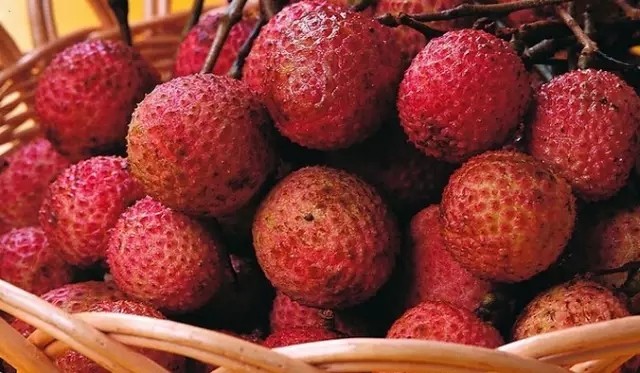 d2e3480724f0af2b6c0a20103b689c20.jpg 18.webp.jpg