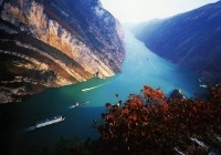 重庆上半年受理旅游投诉案件171件 这些旅行社被点名