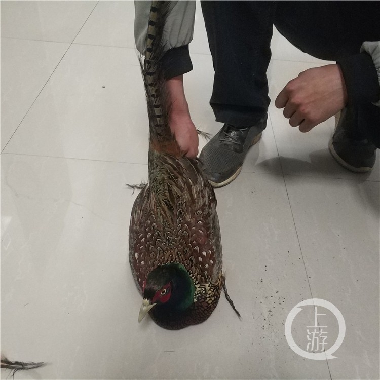 2f86cfb74d10c4531627d9a8fb3908c5.jpg GetAttachment (4).jpg