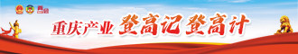 重庆产业栏题.jpg