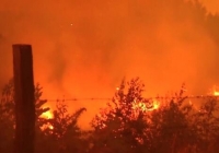 智利中南部森林火灾已造成至少22人死亡