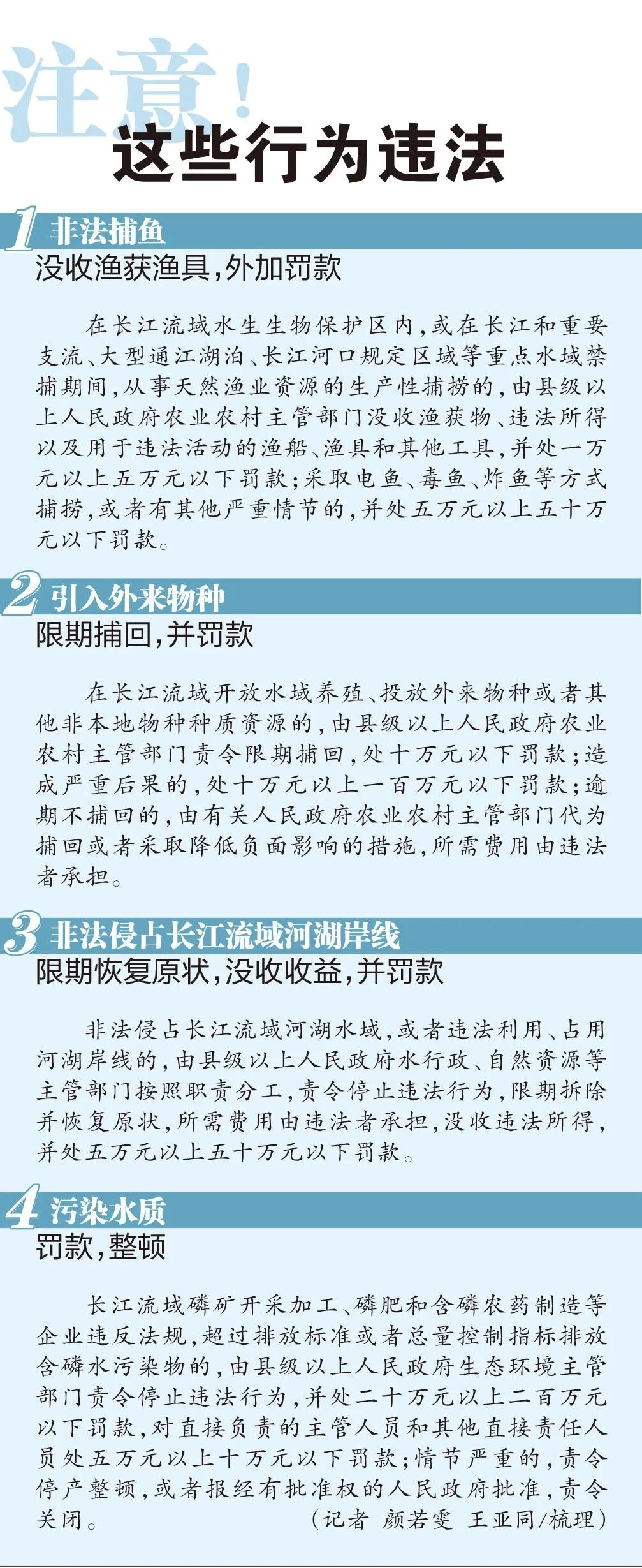 江津人长江保护法正式施行这些行为要担责