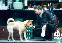 冯小刚新片《忠犬八公》来渝举办携宠观影会：全程重庆取景，主演“大黄”也来了