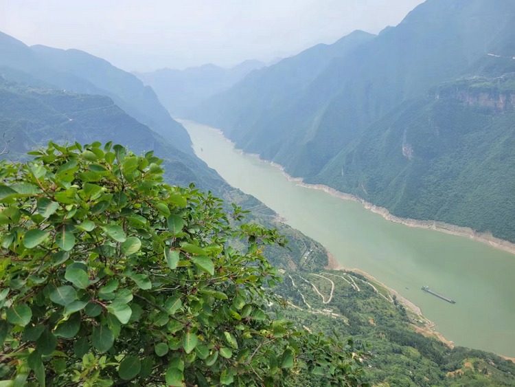 缙云丨许先尧:圣泉峰上有人家-上游新闻 汇聚向上的力量