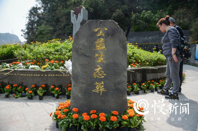 微信图片_20190328184336.jpg