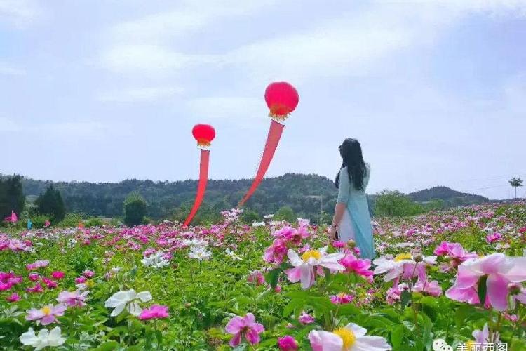 中江县元兴乡第二届乡村旅游节4月8日开幕