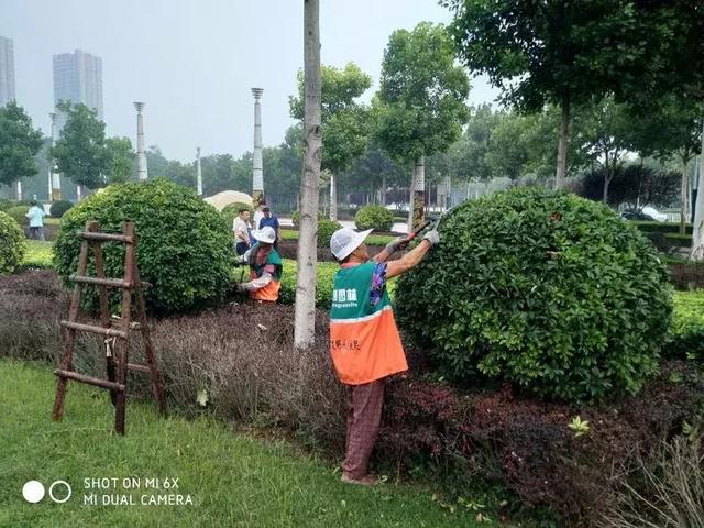 品质潍坊，潍城担当！潍城区园林处精细化修剪大比武圆满结束！