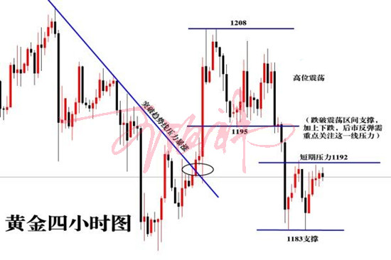 QQ图片20181010150946_副本1.jpg