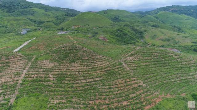 「乡村振兴」合作社联姻高校 破解发展瓶颈