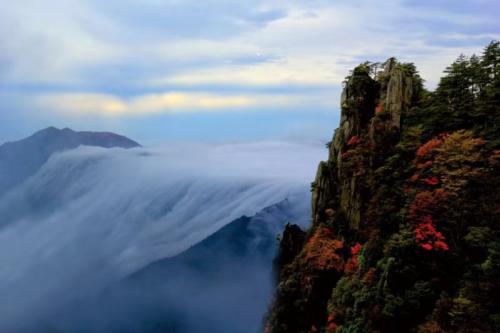 中国福山羊狮慕风景如画，在摄影师的镜头下彷如人间仙境