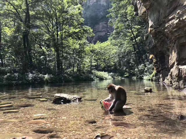 张家界旅游时间路线全由自己掌控，自助游的优势