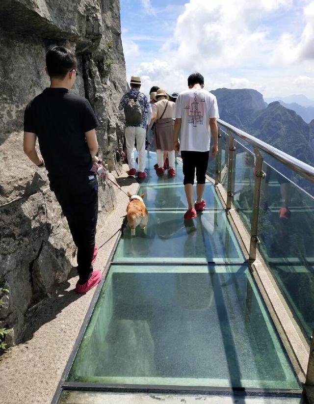 带1至3岁的孩子去张家界旅行，合适吗？