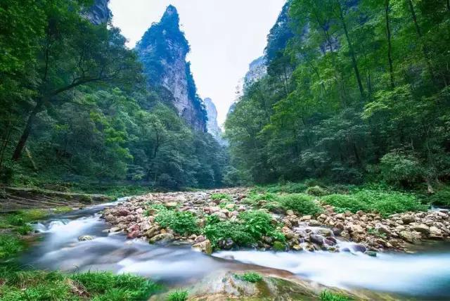 张家界——凤凰古城四日游，景点详细介绍