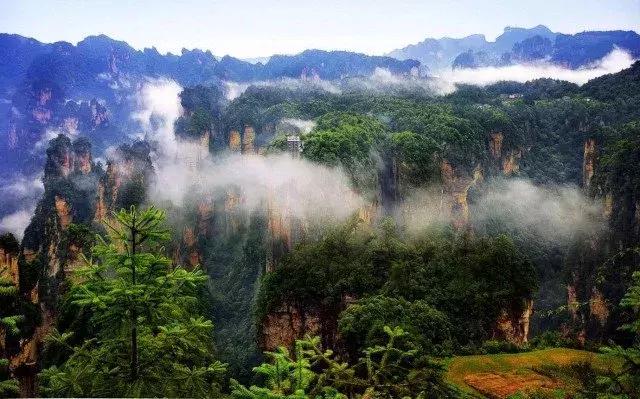 张家界私人旅游顾问一站式解决张家界旅途问题