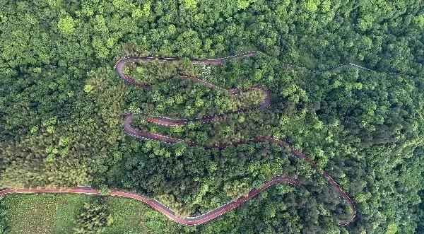 拎包即可轻松游玩张家界，便宜地道，不怕受骗