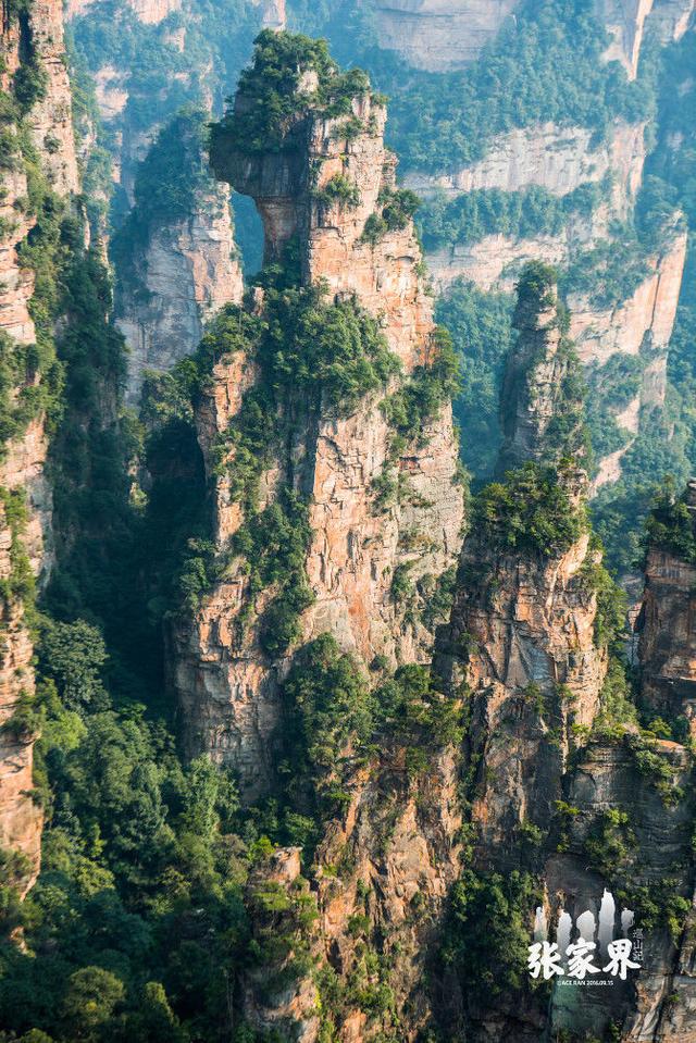 张家界旅游行程透明消费，张家界四不法则请牢记