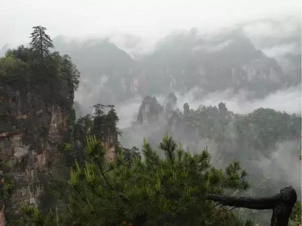 在张家界旅游下雨了怎么办，看得到风景吗