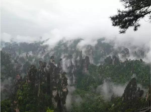 在张家界旅游下雨了怎么办，看得到风景吗